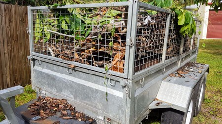 Garden Waste Clearance In Reigate